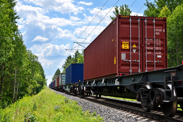 A freight train carrying shipping containers along a line through woodland