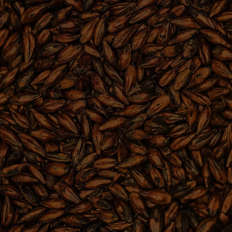 Chocolate Malt grains