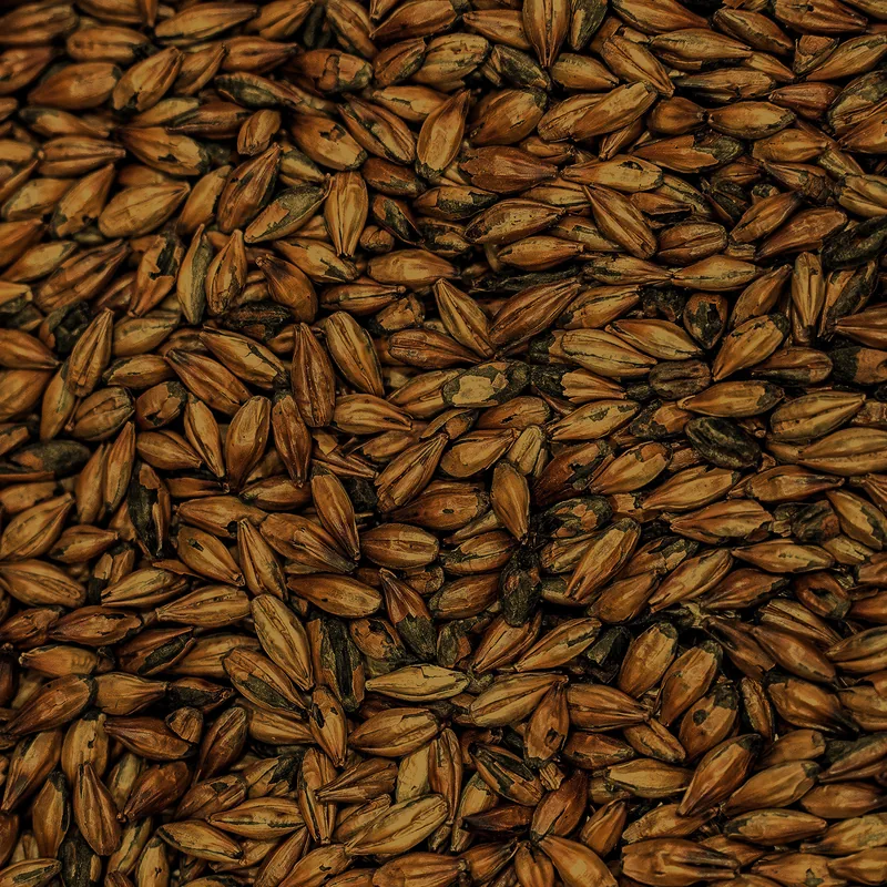 Dark Crystal Malt grains