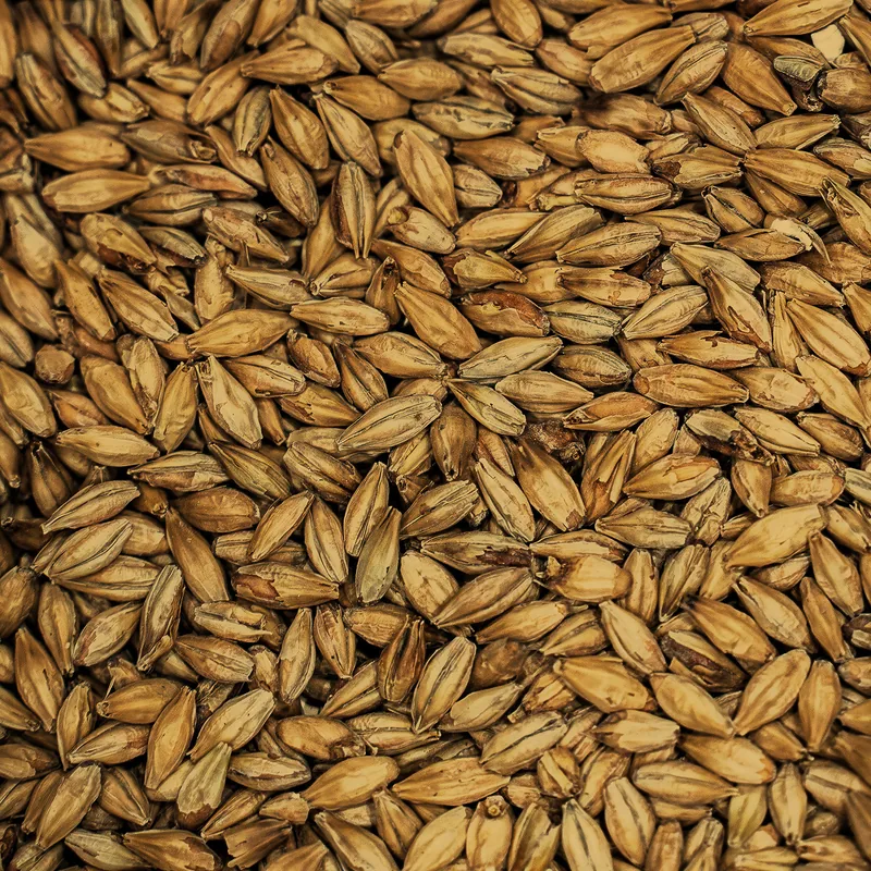 Dark Munich Malt grains