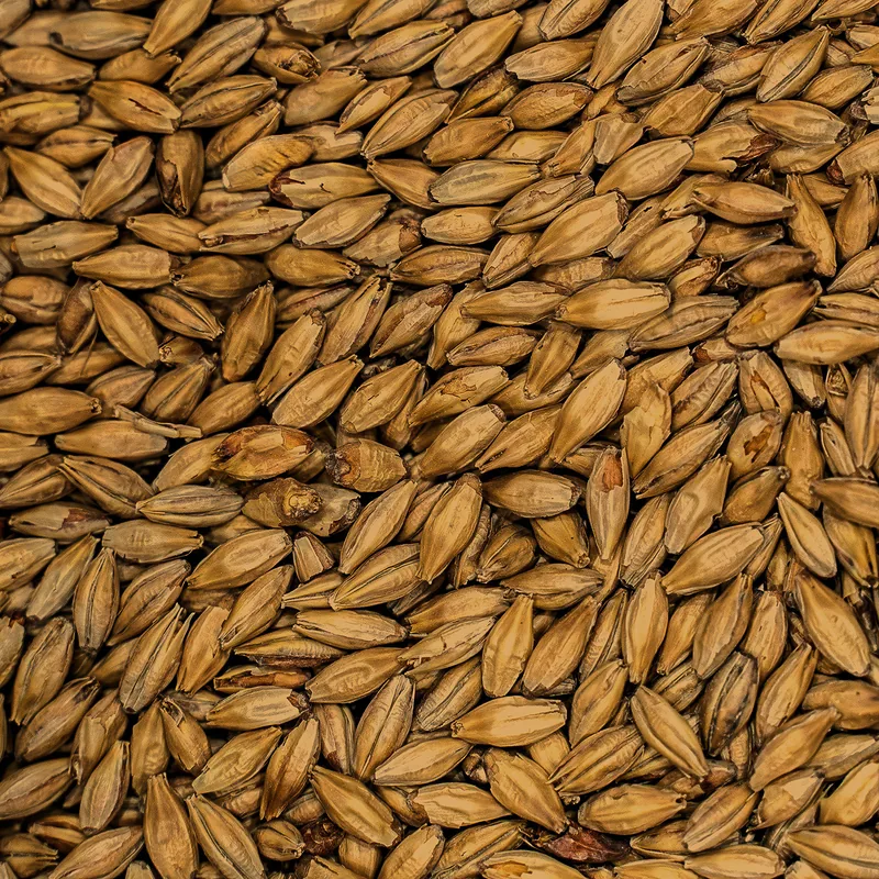 Light Crystal Malt grains