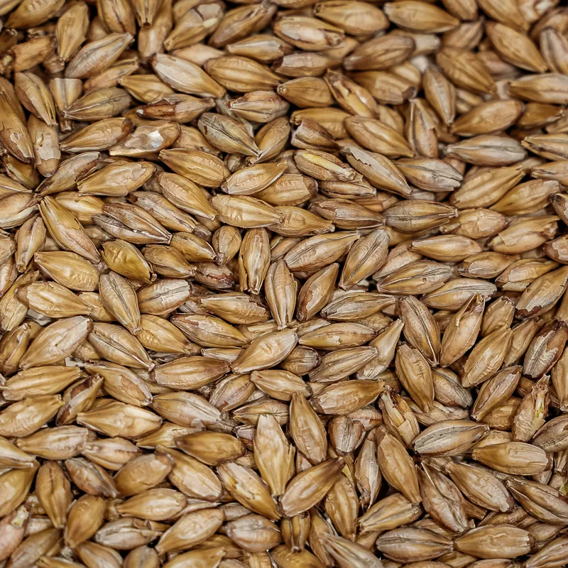 Light Munich Malt grains