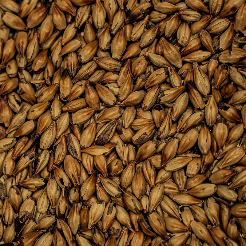 Medium Crystal Malt grains