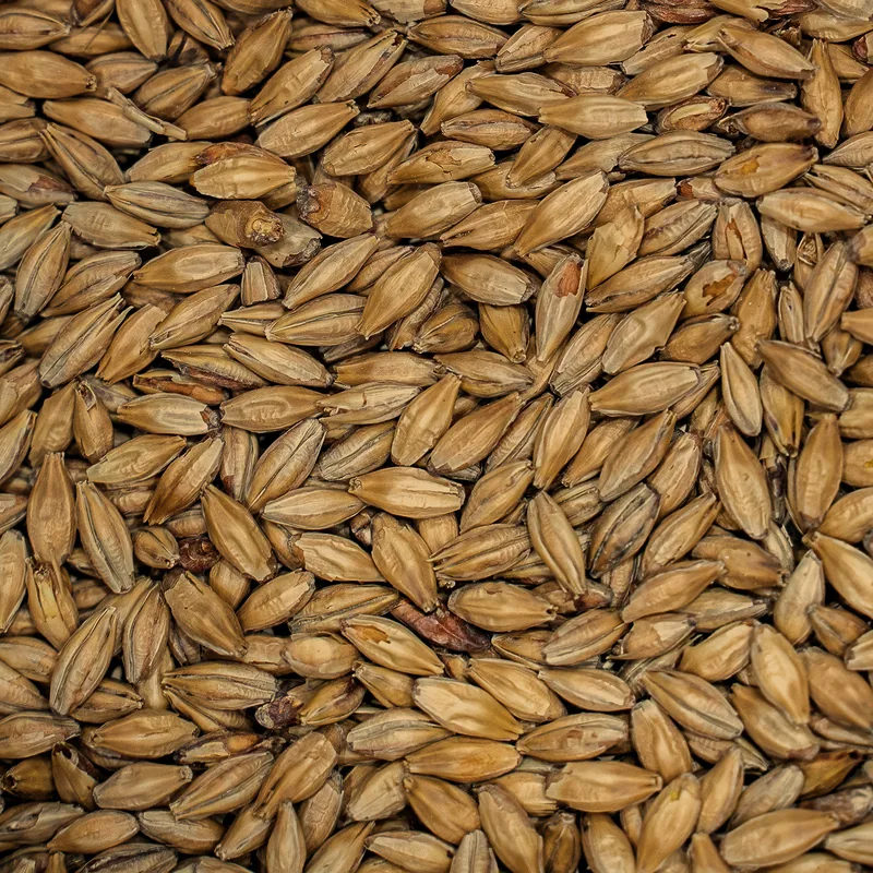 Melanoidin Malt grains
