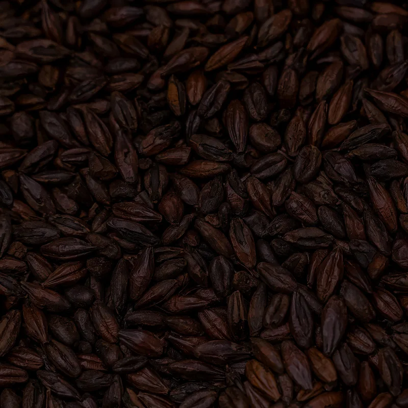 Roasted Barley grains