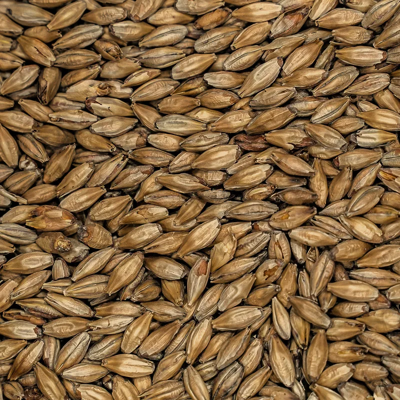 Vienna Malt grains