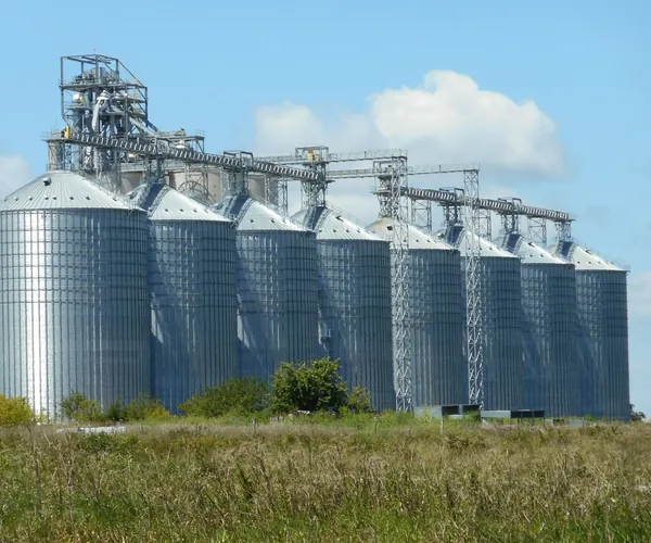 A row of steel storage silos linked by conveyor gantries, behind a field of long grass