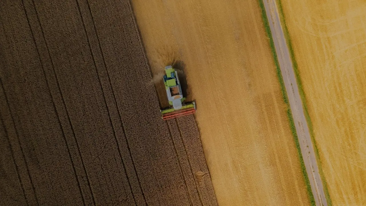 Vista aérea de uma colheitadeira cortando um campo de cevada madura